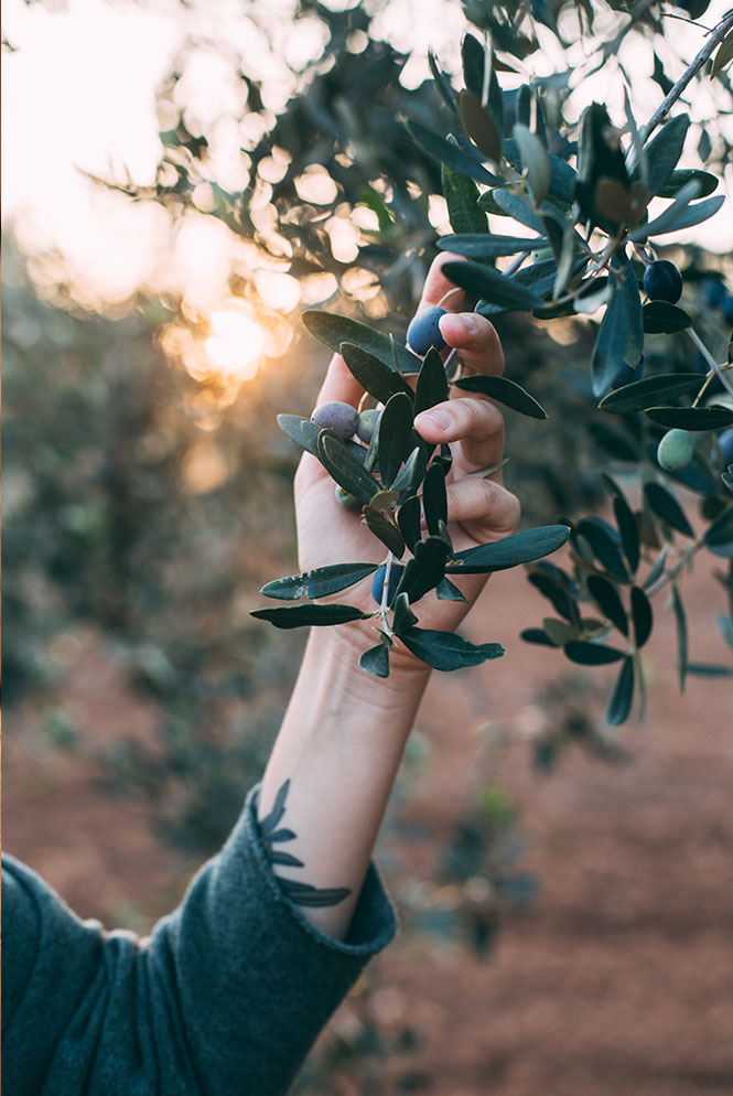 fabbrica-chimica-rispetta-ambiente-dermochimica