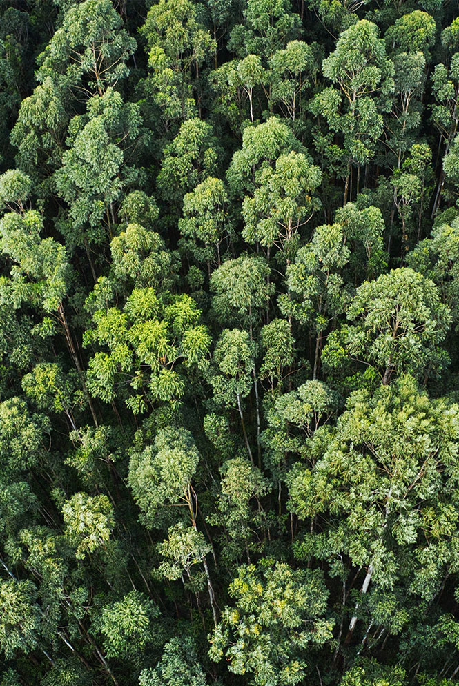 rispetto-ambiente-azienda-chimica-dermochimica-agrate